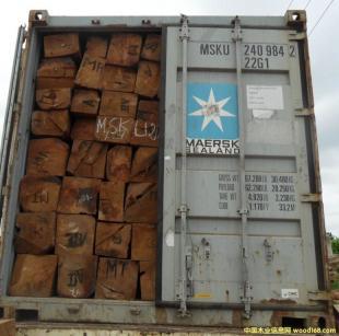 巴花木 选购指南与码头配套服务全解析