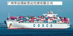 深耕深圳专业非洲出口海运 运动休闲品类如何借力世界工厂网高效通关
